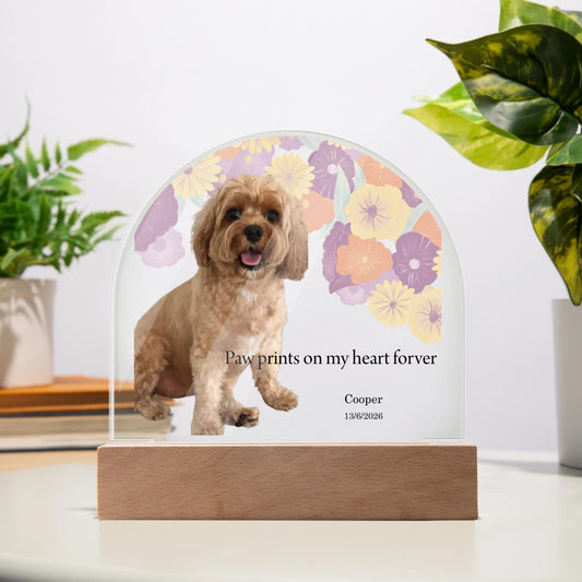 Acrylic Dome Plaque – Paw Prints